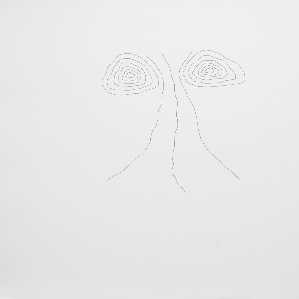 L'arbre des incertitudes